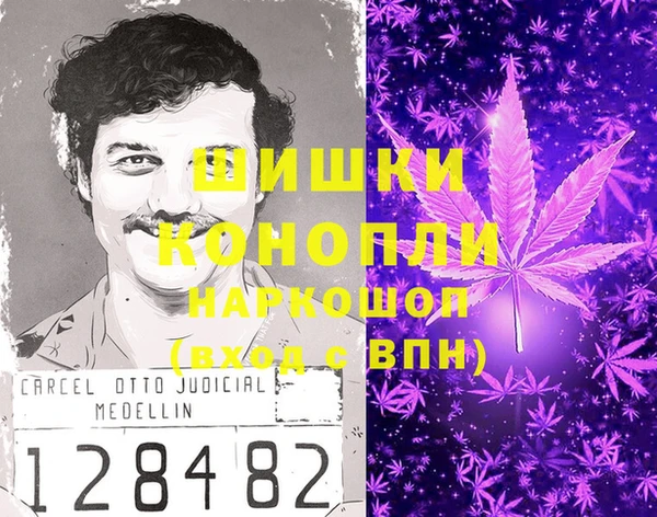 МДПВ Осташков